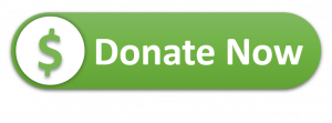 Donate Now Button - Link to charity site