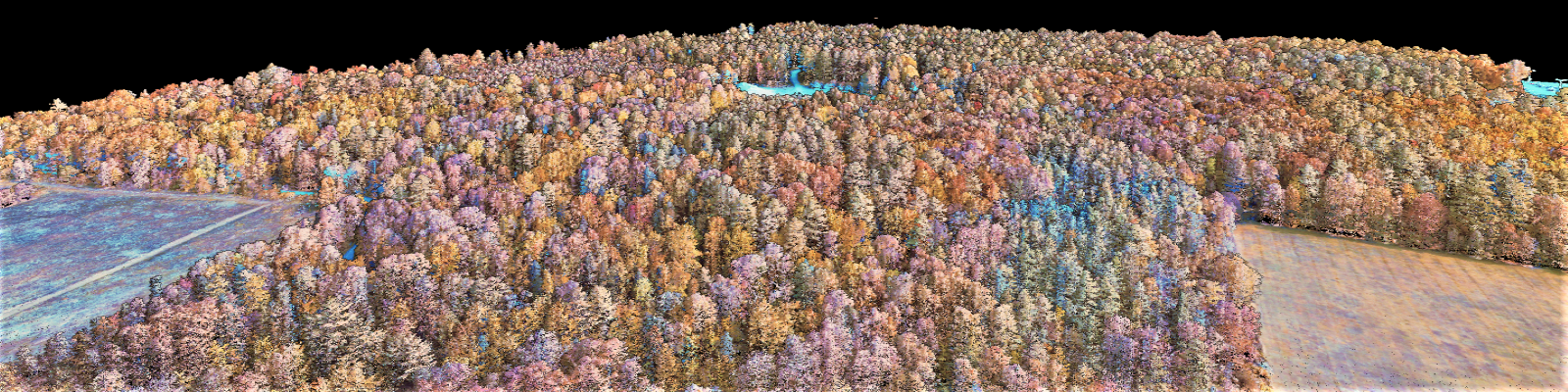 NASA research-grade lidar overlaid with Wheatland Lab color-infrared aerial photography. Courtesy of Wheatland Geospatial Lab, School of Forest Resources, UMaine, Orono.