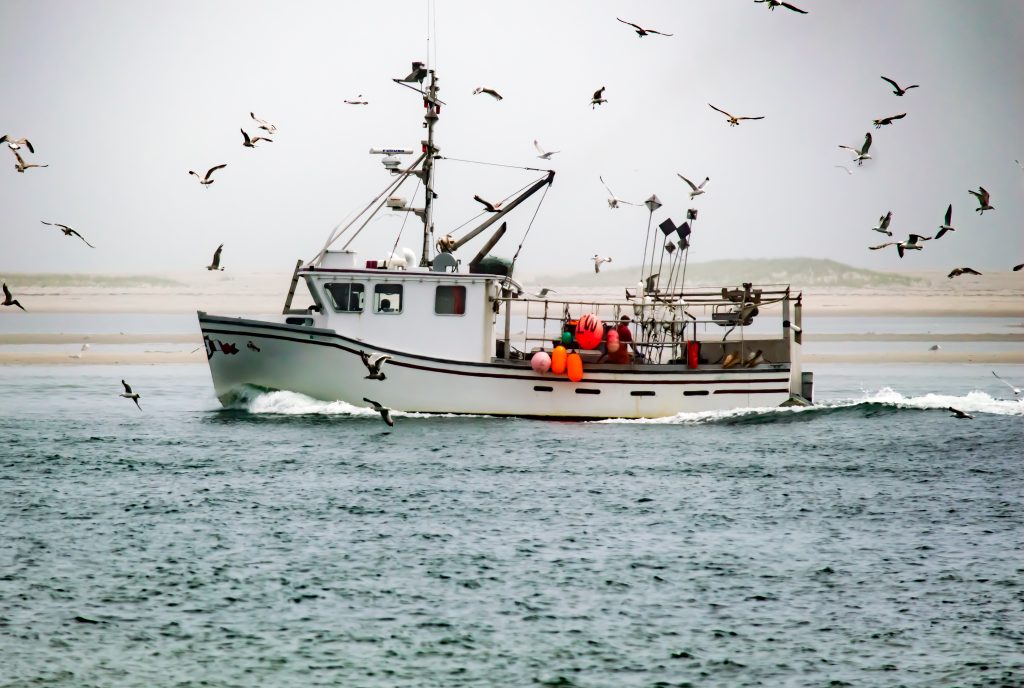 Seagulls engulf a fishing boat on the water.