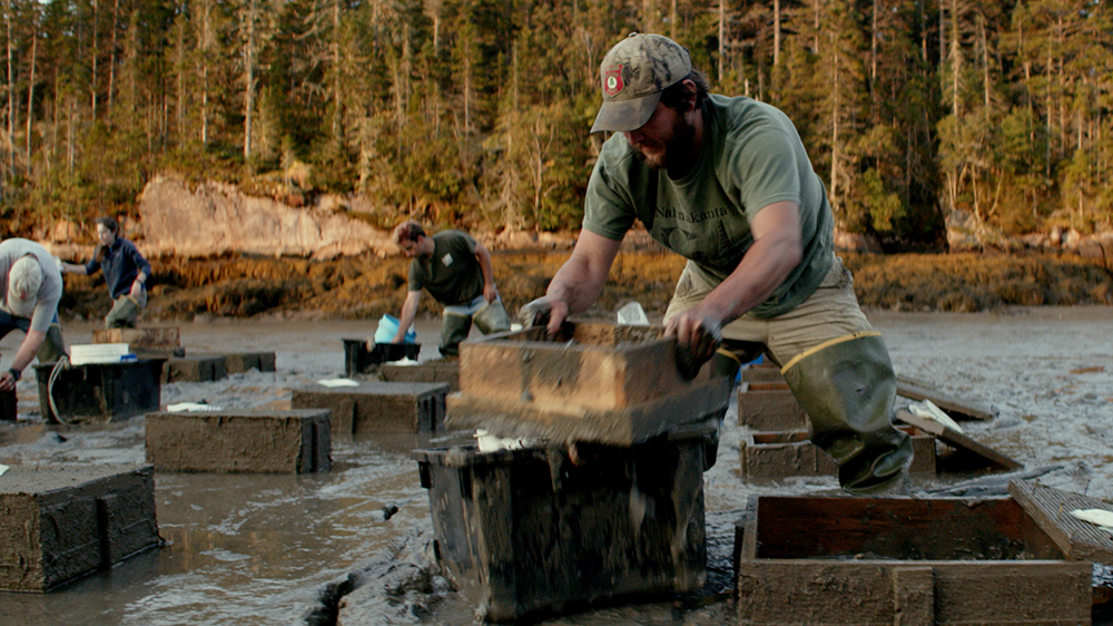 person sifting water through a wooden box.