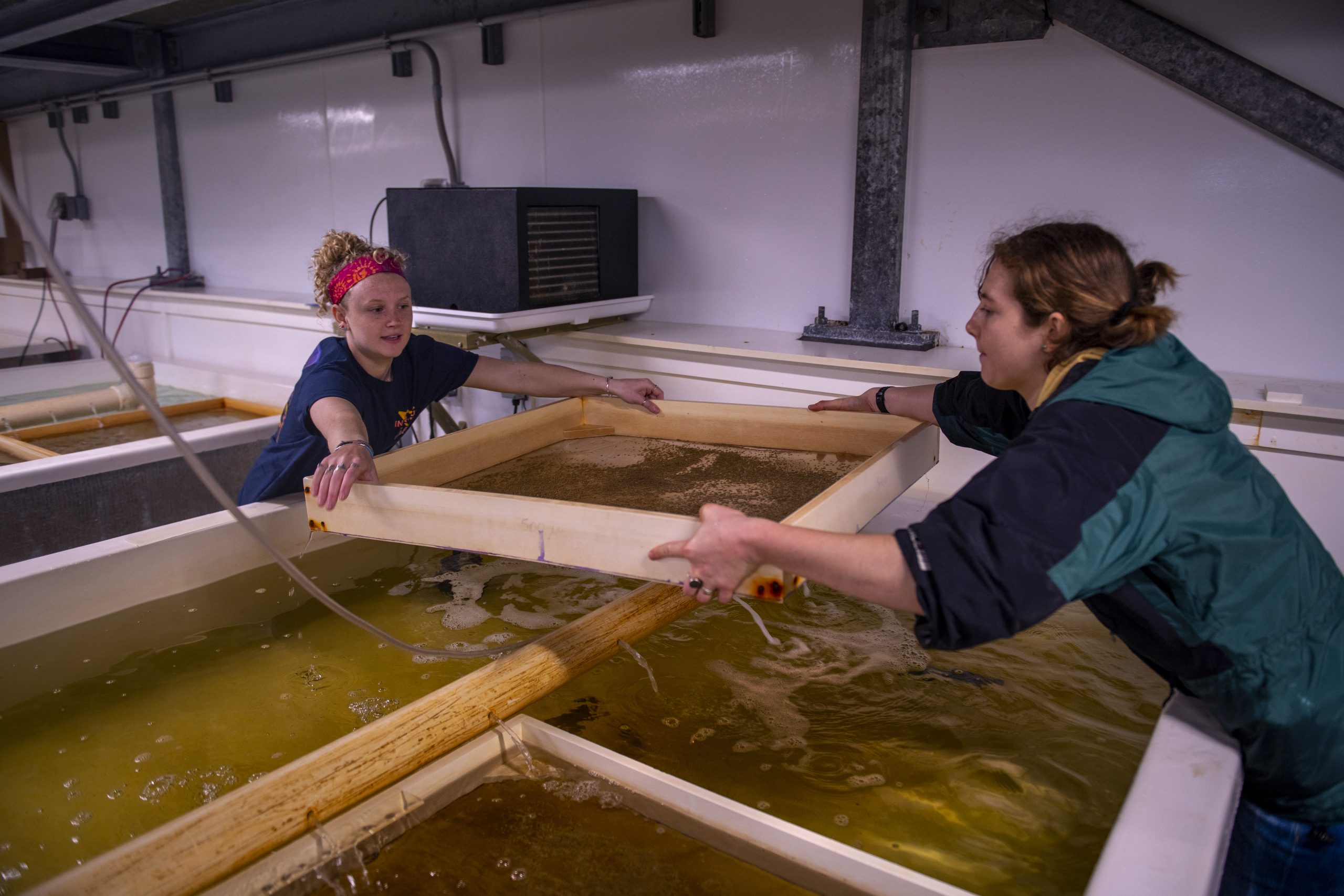 Students conducting a marine experiment
