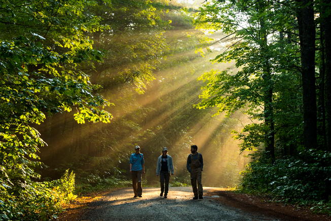 Forestry students walking through a forest