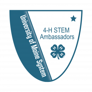 Link to 4-H STEM Ambassador Level 1 Badge (External Site)