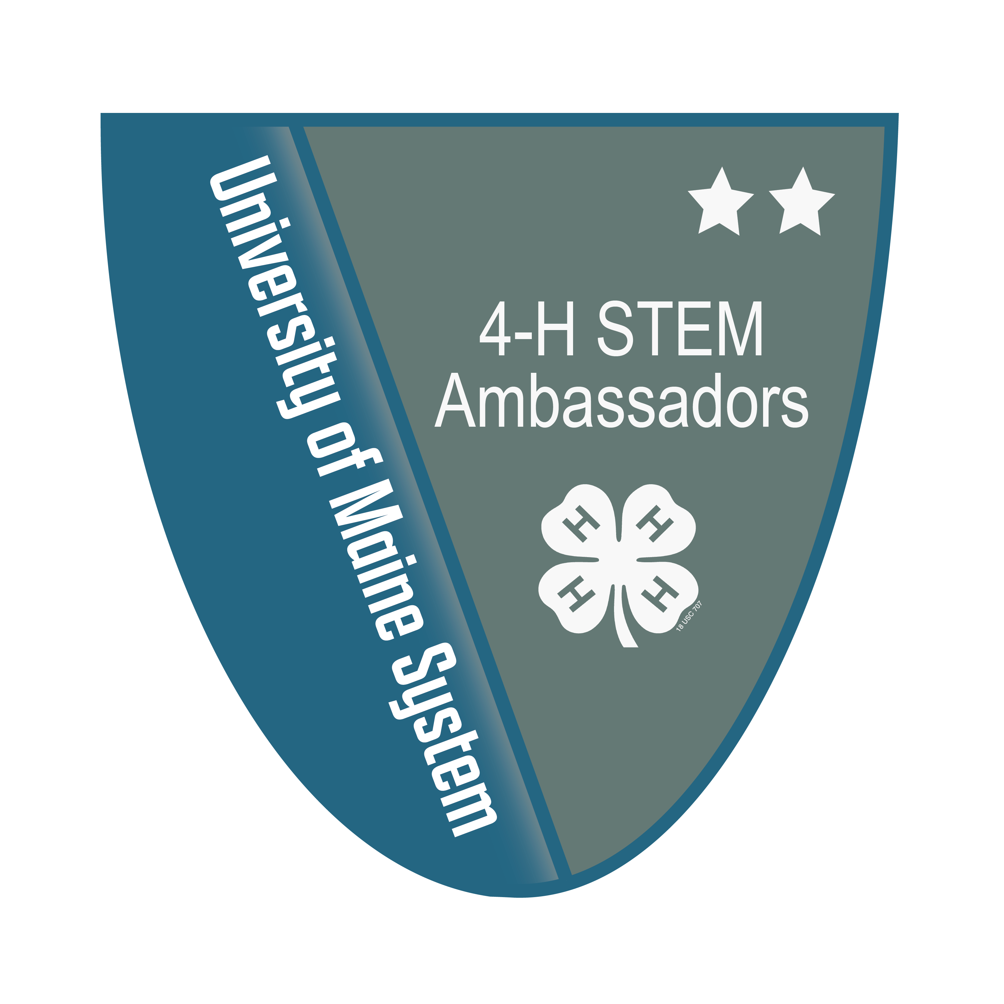 Link to 4-H STEM Ambassador Level 2 Badge (External Site)