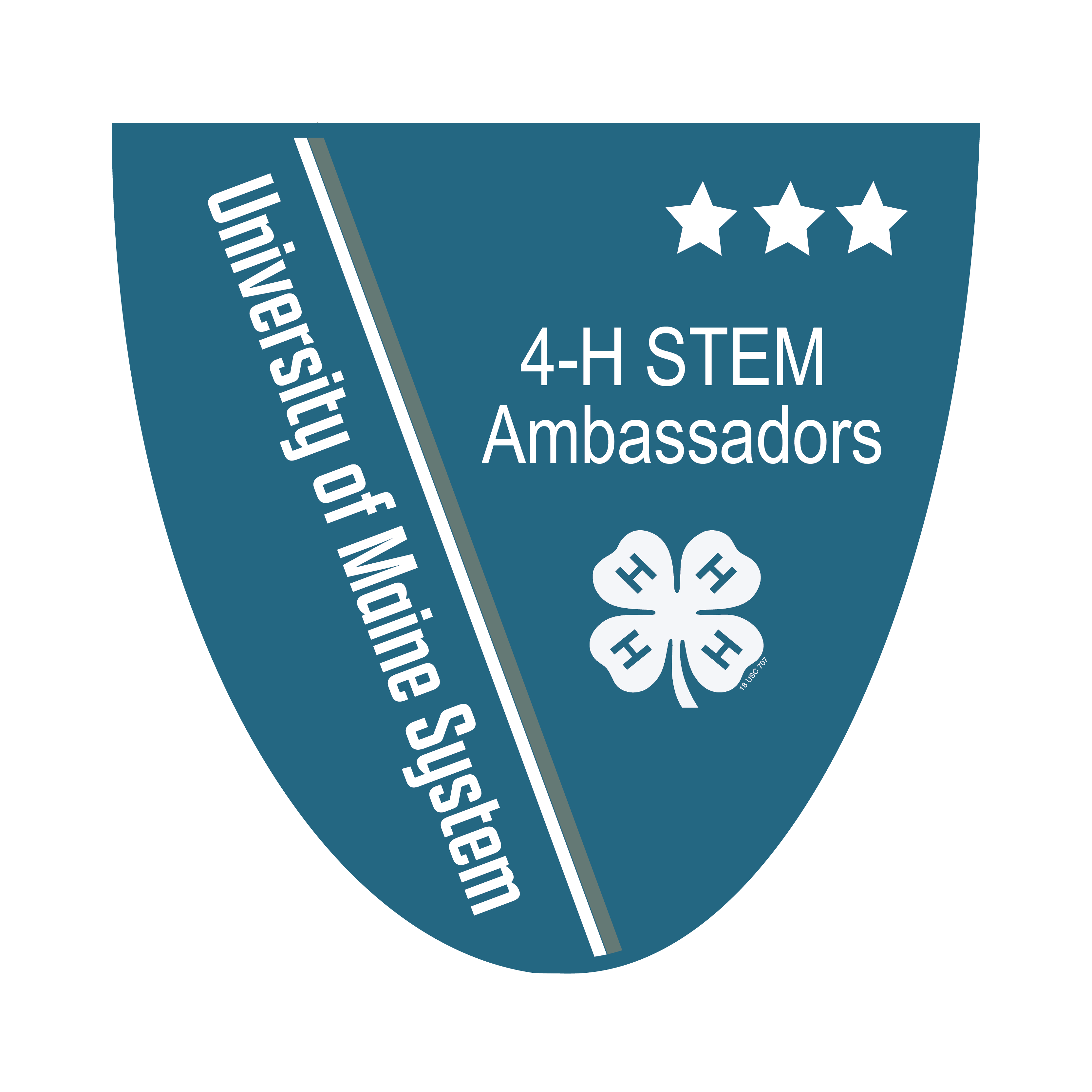 Link to 4-H STEM Ambassador Level 3 Badge (External Site)