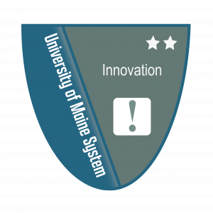 Link to Innovation Level 2 Badge (External Site)