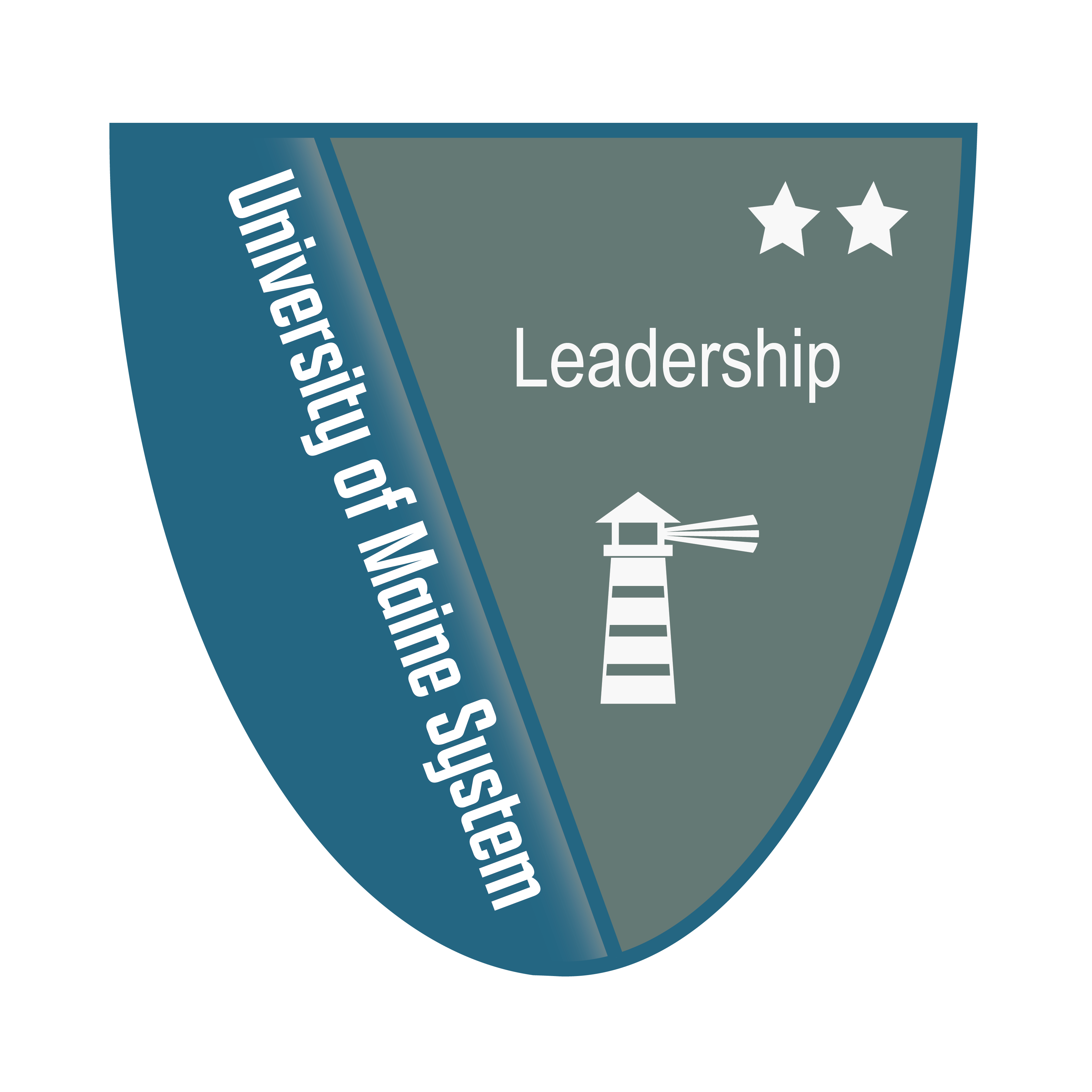 Link to Leadership Level 2 Badge (External Site)