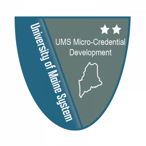Level 2 Micro-Credential Development Badge