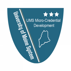 Level 3 Micro-Credential Badge