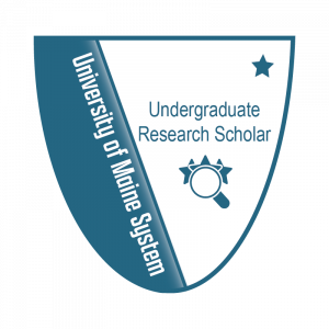 Link to Undergraduate Research Scholar Level 1 Badge (External Site)