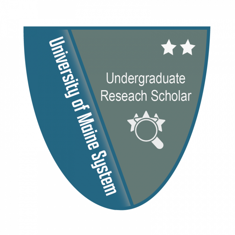 Undergraduate Research Scholar Level 2 Badge