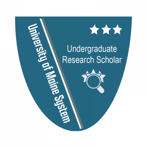 Link to Undergraduate Research Scholar Level 3 (External Site)