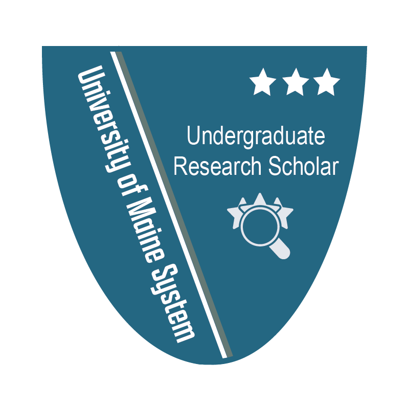 Link to Undergraduate Research Scholar Level 3 (External Site)