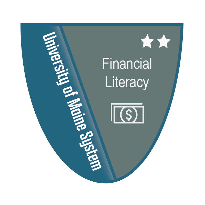 Financial Literacy Level 2 Badge