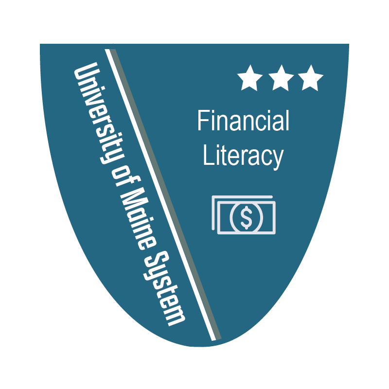 Financial Literacy Level 3 Badge