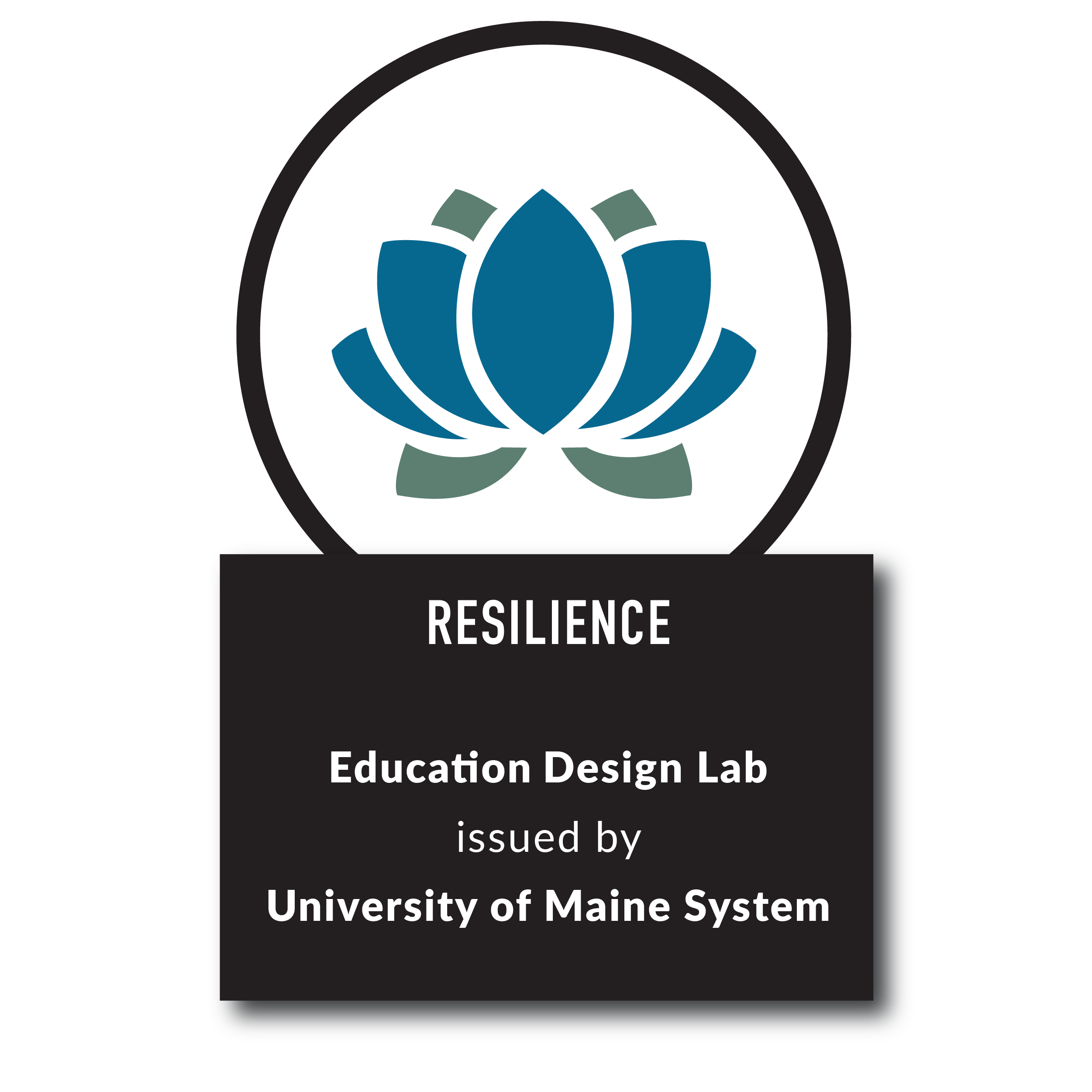Resilience: Education Design Lab issued by University of Maine System