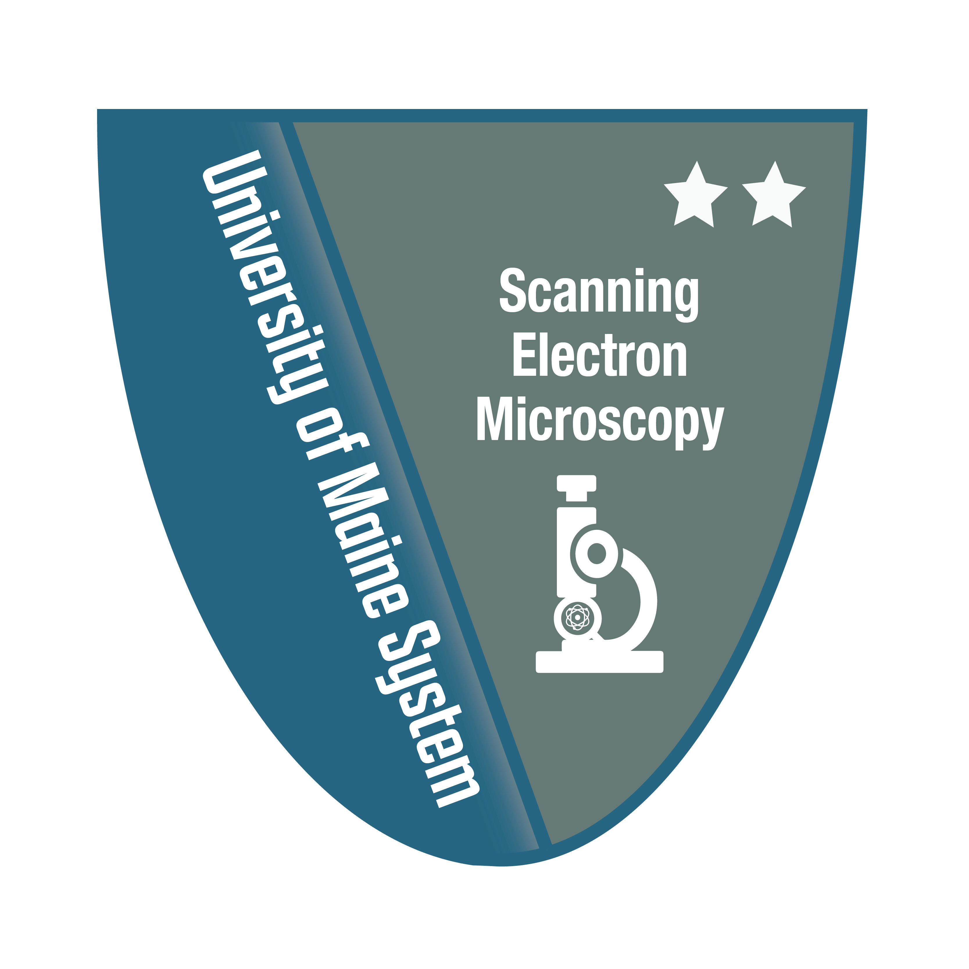 Scanning Electron Microscopy Level 2