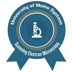Scanning Electron Microscopy Micro-Credential badge