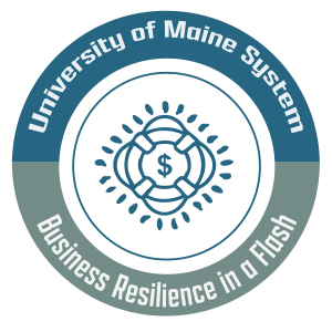 Business Resilience in a Flash badge image