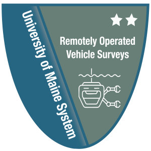 Remotely Operated Vehicle Surveys Level 2 badge image