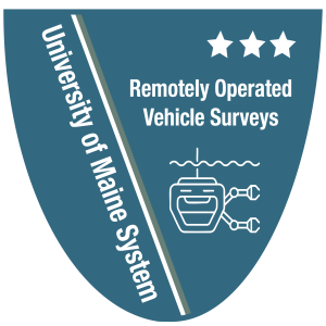 Remotely Operated Vehicle Surveys Level 3 badge image