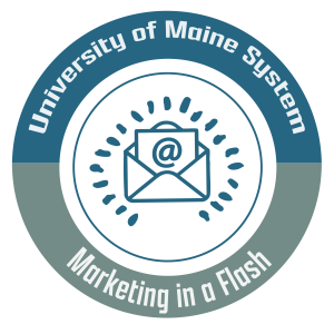 Marketing in a Flash Micro-Badge image