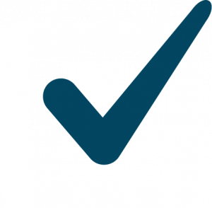 checkbox icon