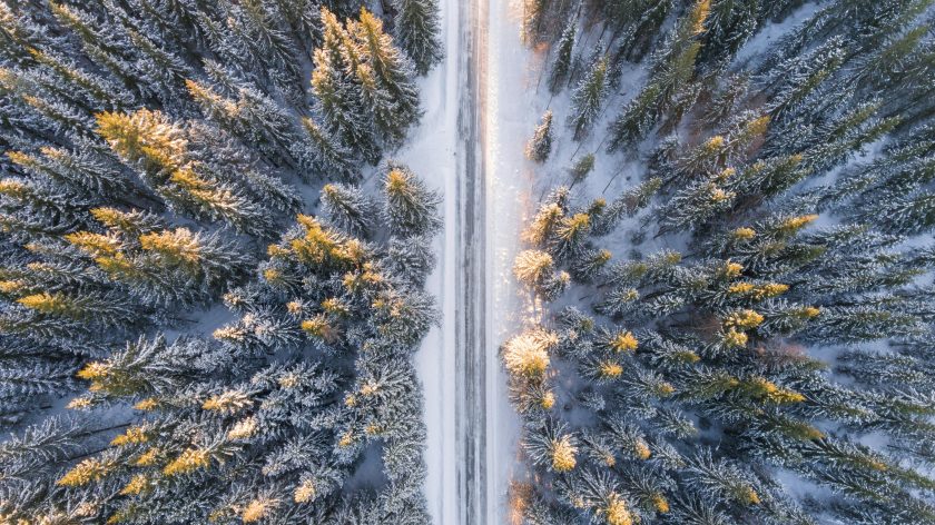 Ariel view of snowy road between trees.