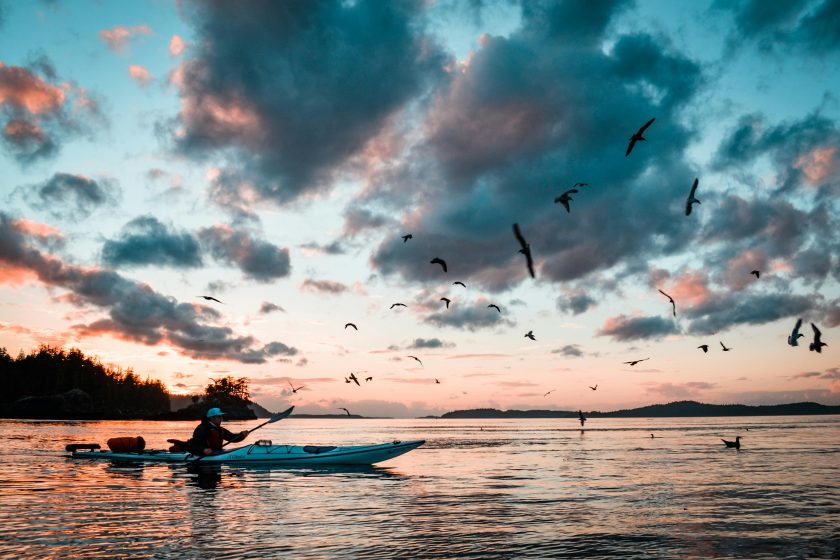 Person kayaking at sunrise with birds flying around in the sky