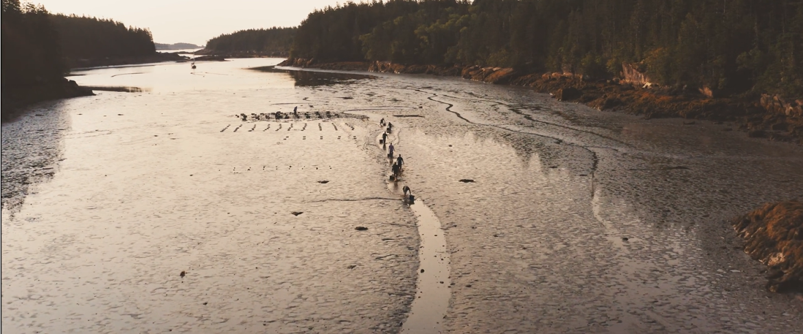 people walking on a mud flat at low tide