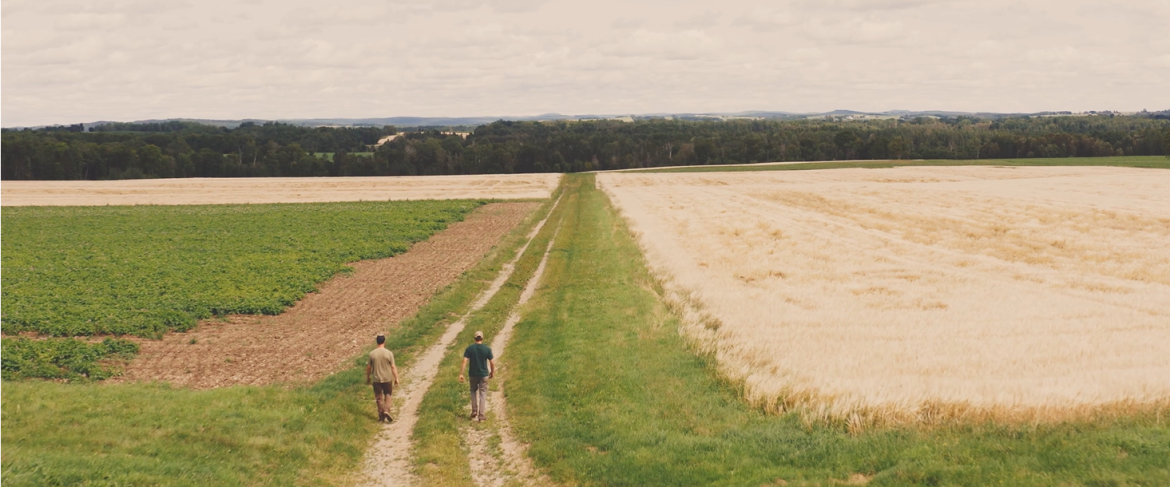 Students walking across agricultural fields