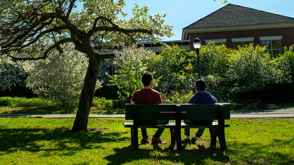 Two students sitting on a park bench.