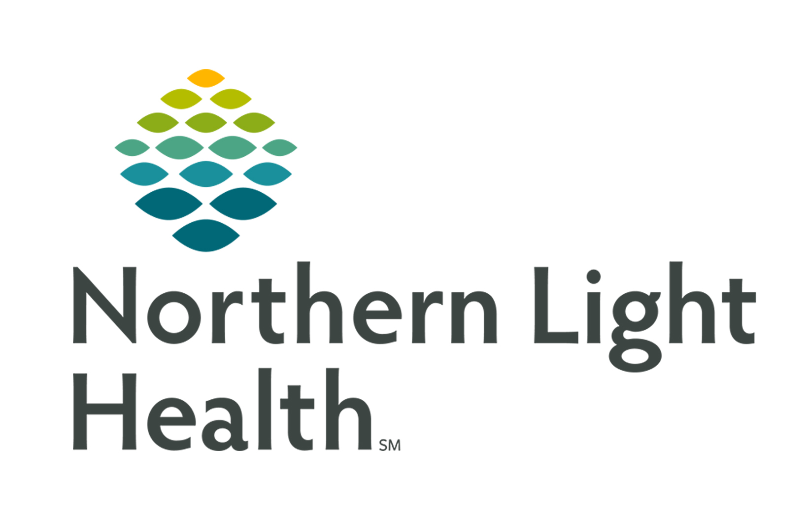 Northern Light Health logo