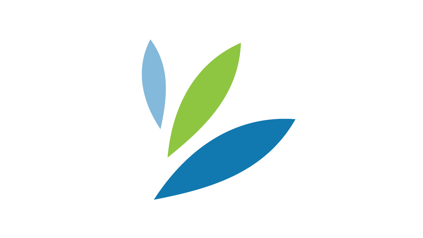 MaineGeneral Logo